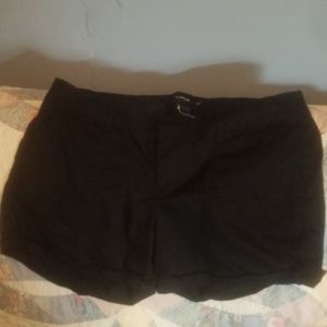 Torrid shorts